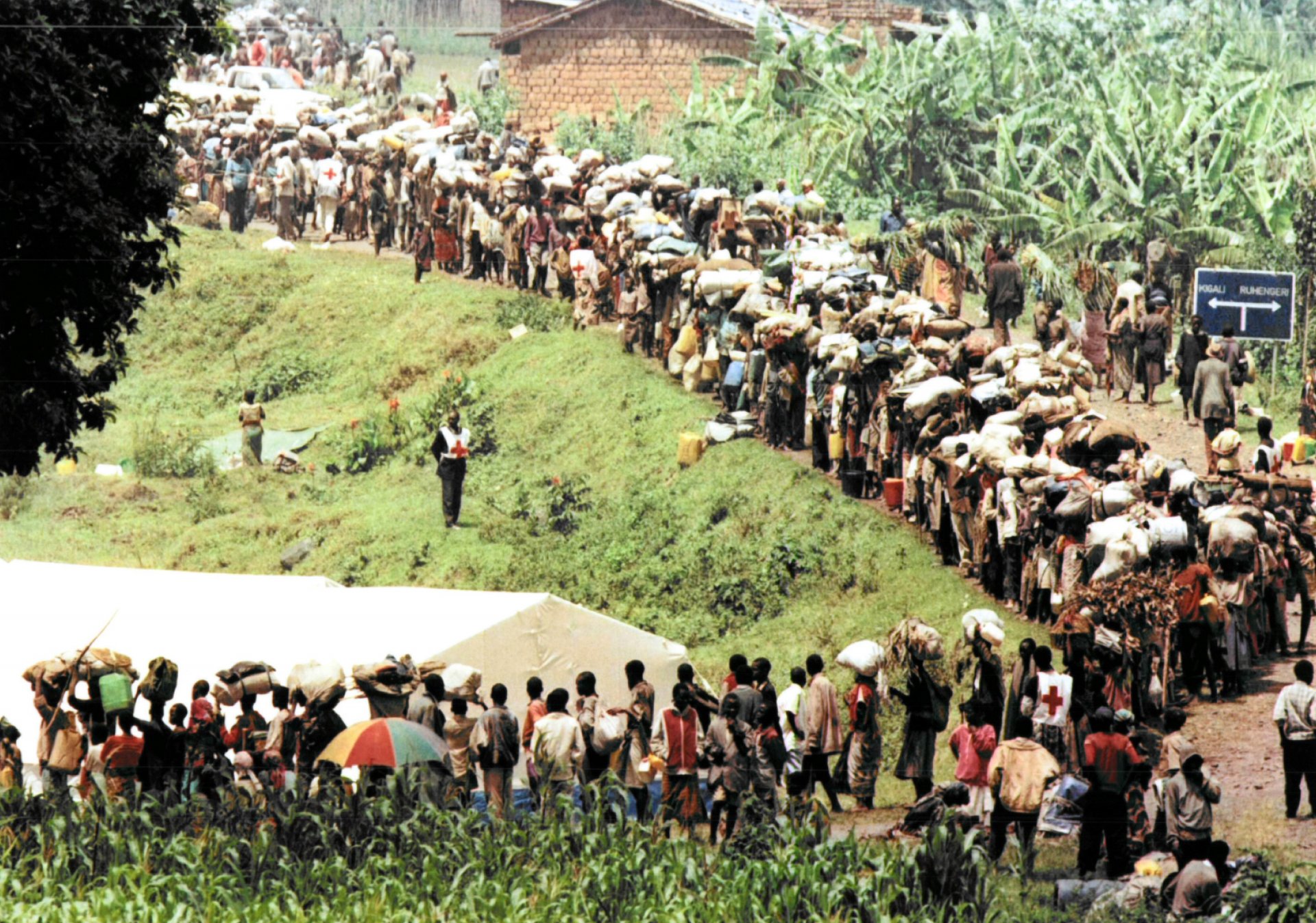 Living through the horrors of genocide: humanitarian workers in Rwanda | msf-crash.org