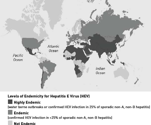 Levels of Endemicity for Hepatitis E Virus (HEV) 
