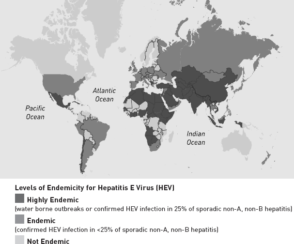 Levels of Endemicity for Hepatitis E Virus (HEV)
