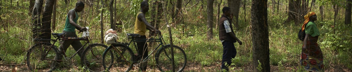 Une famille traverse une forêt au Congo