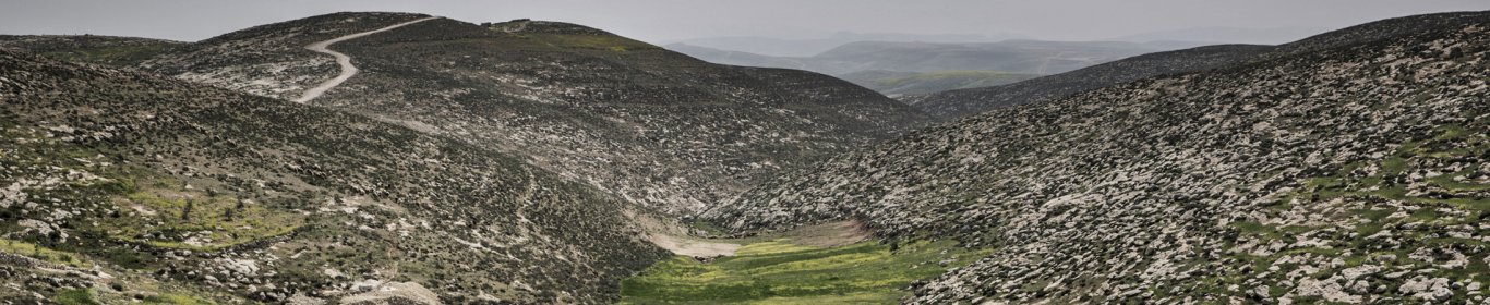 Paysage, territoire palestinien occupé