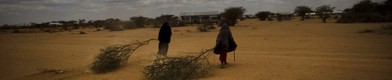 Deux femmes transportent des branches d'arbre, camp de Dagahaley, Kenya, 2009