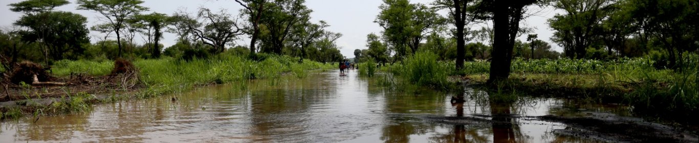 Floods in Palorinya
