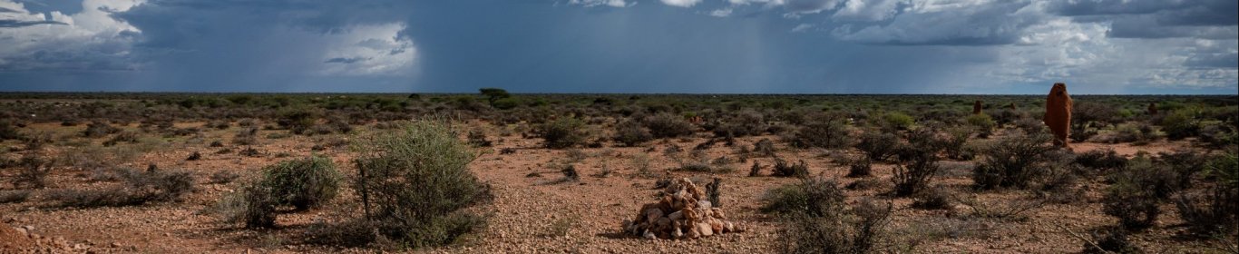 MSF Mobile Clinics and Tea Teams in Somali Region