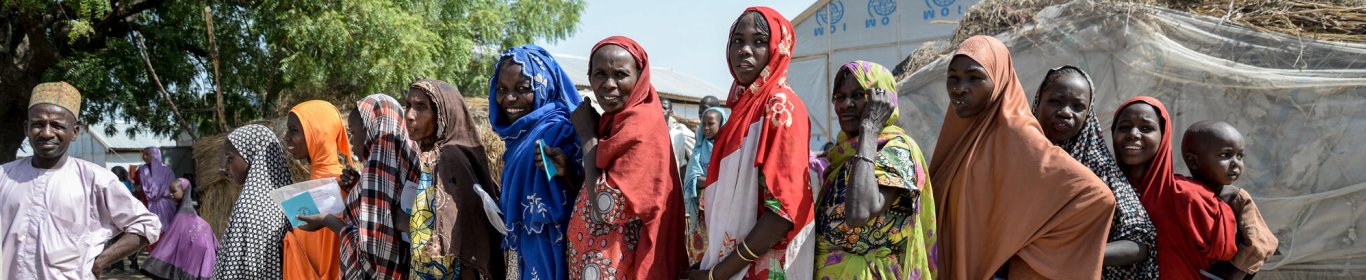 Situation in Borno state, November 2016