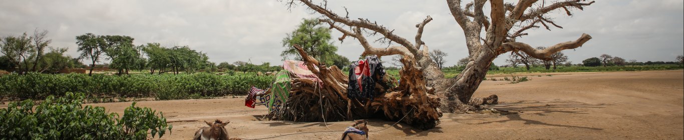 darfur