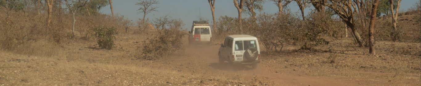 MSF cars