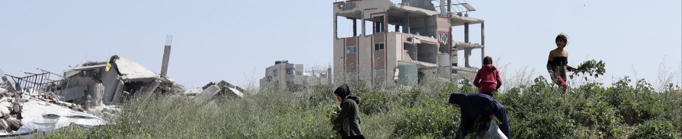 gaza