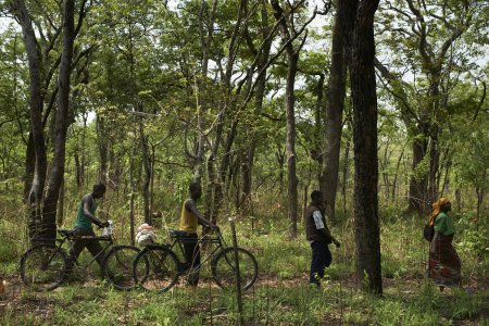Une famille traverse une forêt au Congo