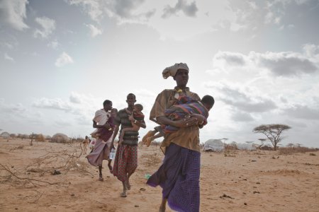 Camp de Dadaab, Somalie Des réfugiés somaliens et leurs enfants se rendent dans un nouveau centre