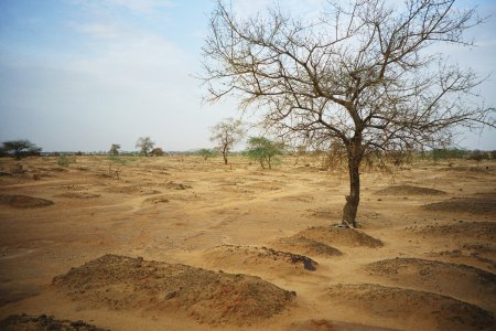 Le cimetière Dakoro, Niger