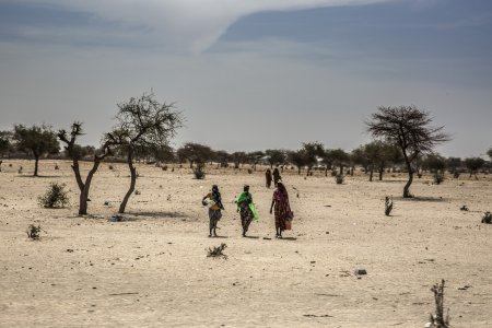 Des femmes traversent une zone sèche du Niger