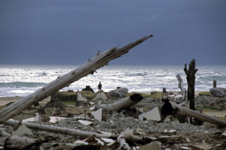 Les côtes dévastées par le tsunami à Banda Aceh