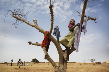 Une fille joue dans un arbre a l'extérieur du camp de réfugiés de Iridimi au Darfour