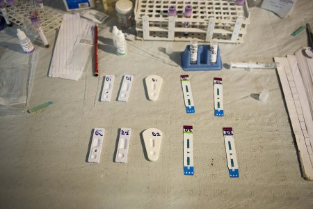 Tests pour la malaria, la syphilis, l'hépatite B et C, ainsi que le VIH