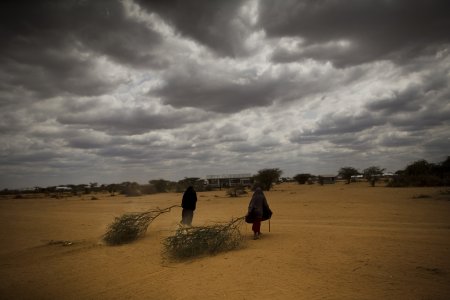 Deux femmes transportent des branches d'arbre, camp de Dagahaley, Kenya, 2009