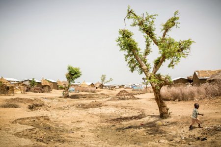 Vue générale du camp Minawao, au Cameroun, juin 2016