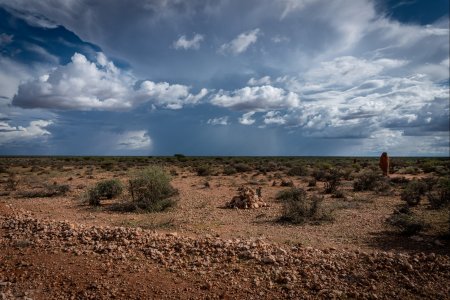 MSF Mobile Clinics and Tea Teams in Somali Region