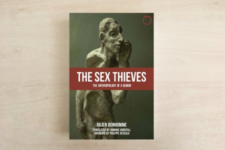 cover The Sex Thieves