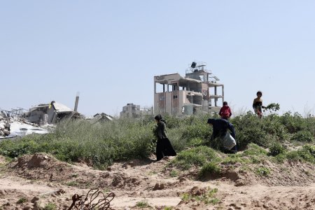 gaza