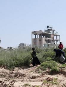 gaza